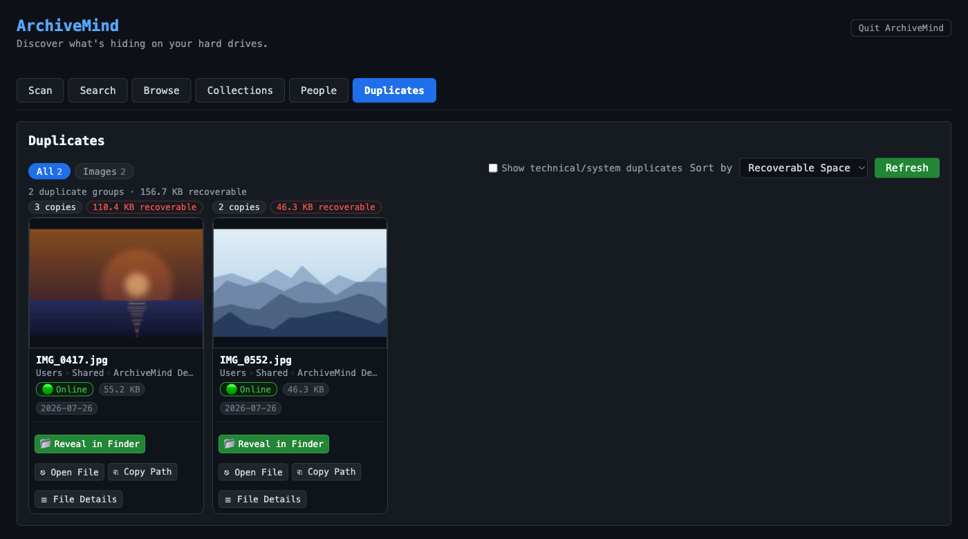 The duplicates view showing groups of identical files with copy counts and recoverable space